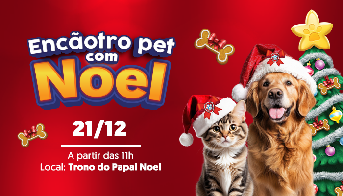 VP_77_24 NATAL PET_BANNER_AGENDA_700x400px_V5.png